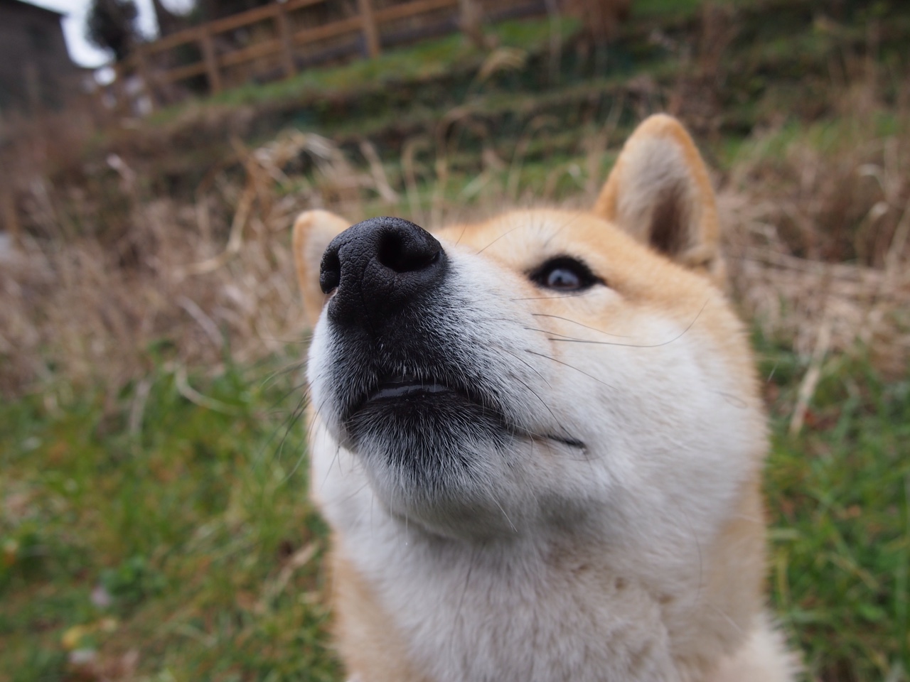 当奇才量子纠缠广东队，伦纳德如何成为攻防的时空奇点